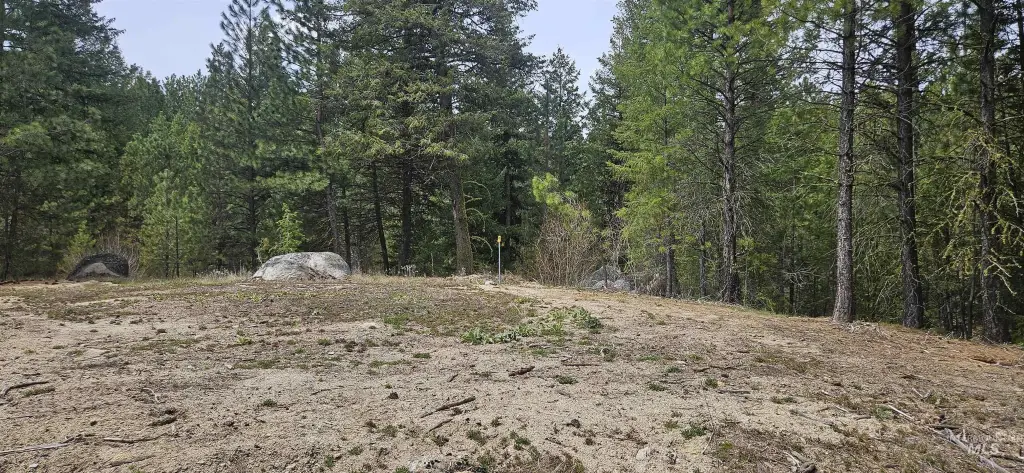 Picture 18