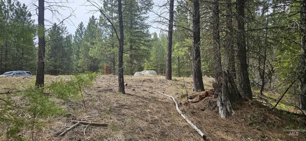 Picture 23