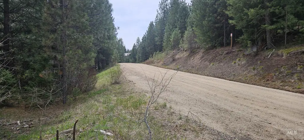Picture 4