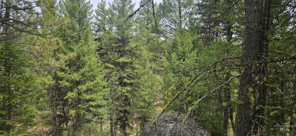 Picture 26