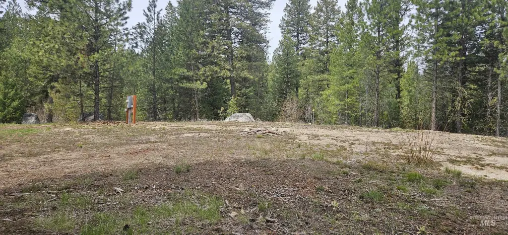 Picture 29