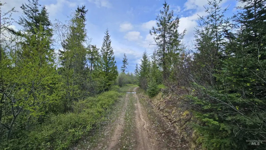 Picture 31