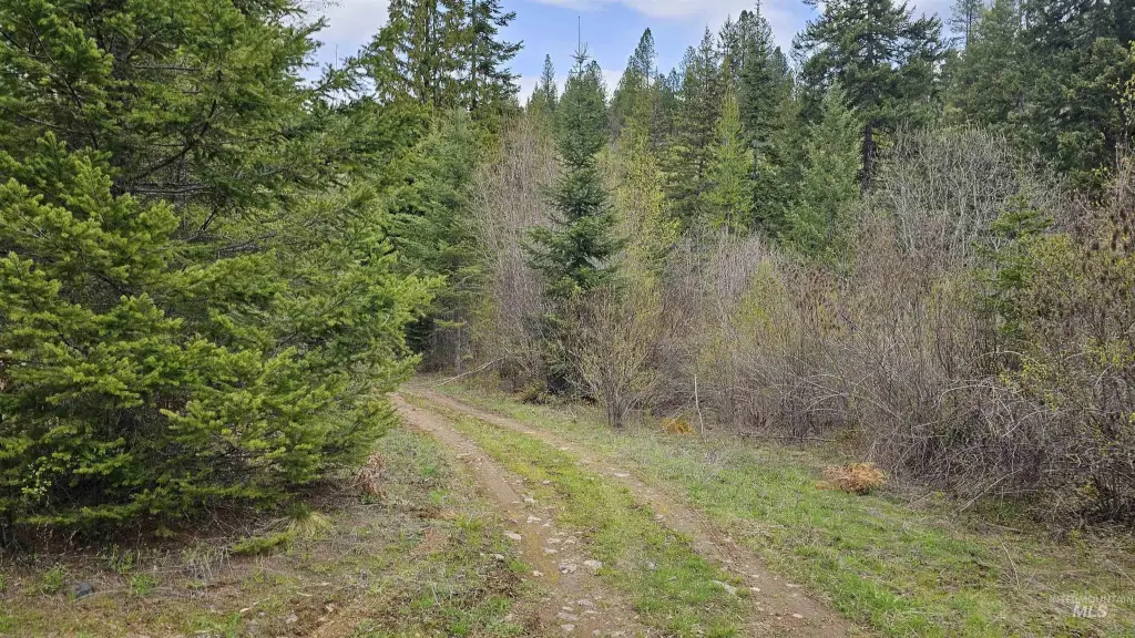 Picture 17
