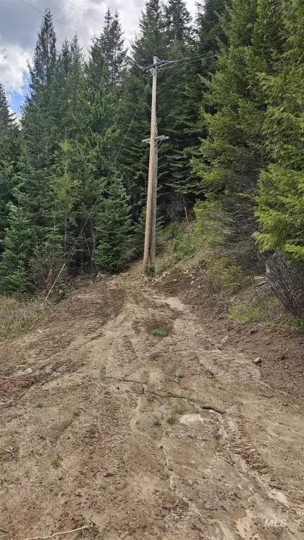 Picture 21