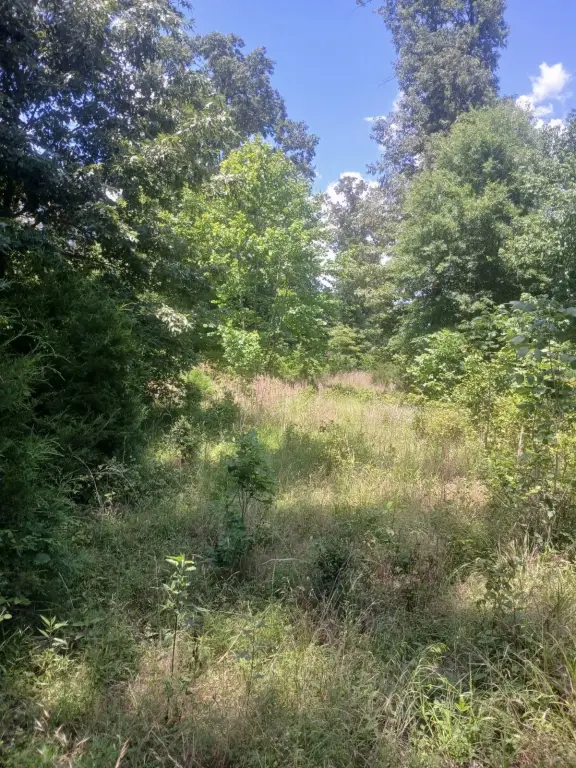 Picture 23