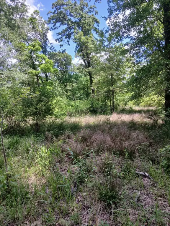 Picture 4