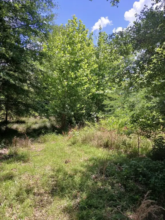 Picture 16