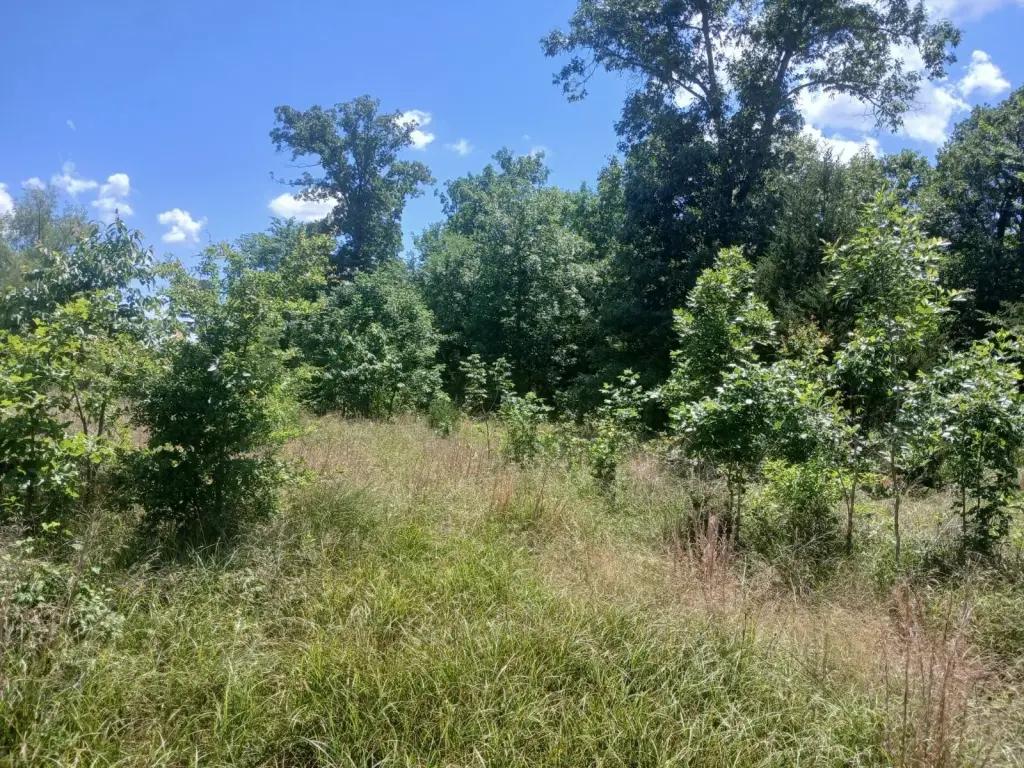 Picture 28