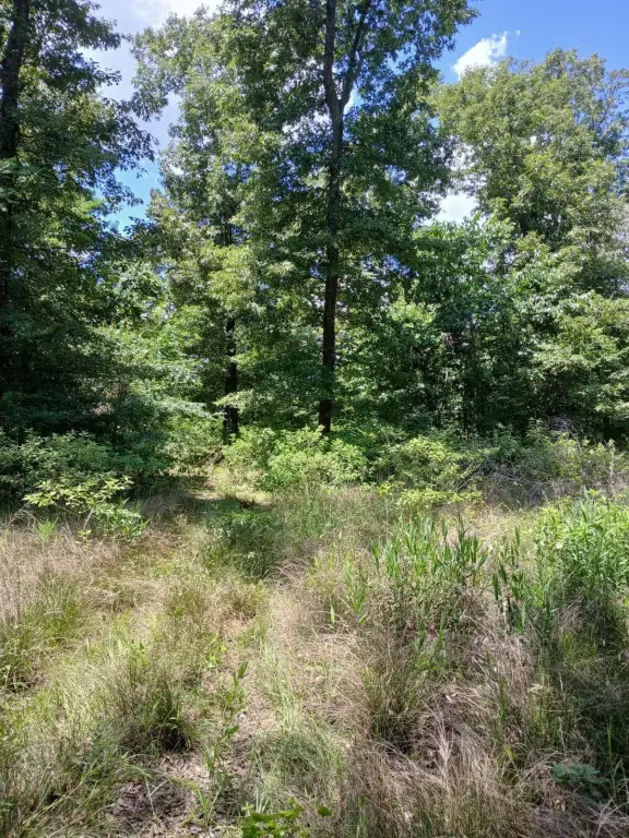 Picture 15