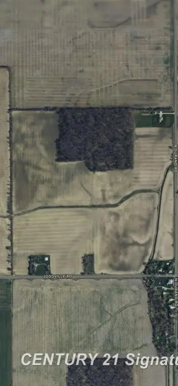Picture 4