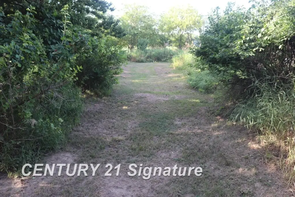 Picture 22