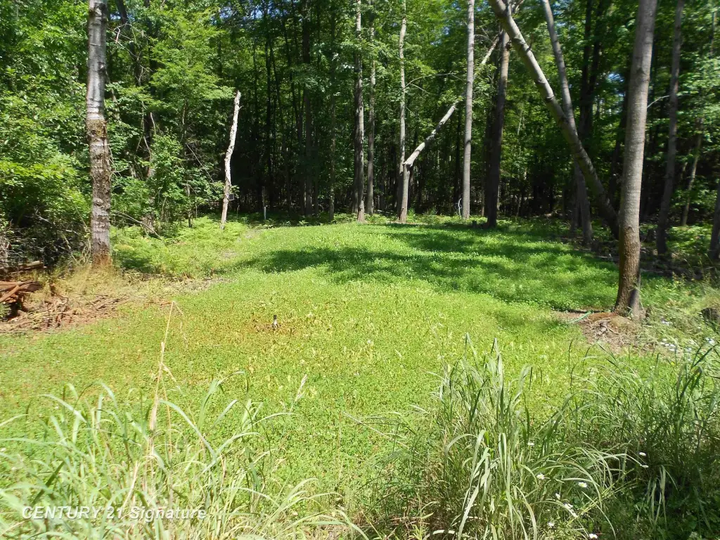 Picture 13