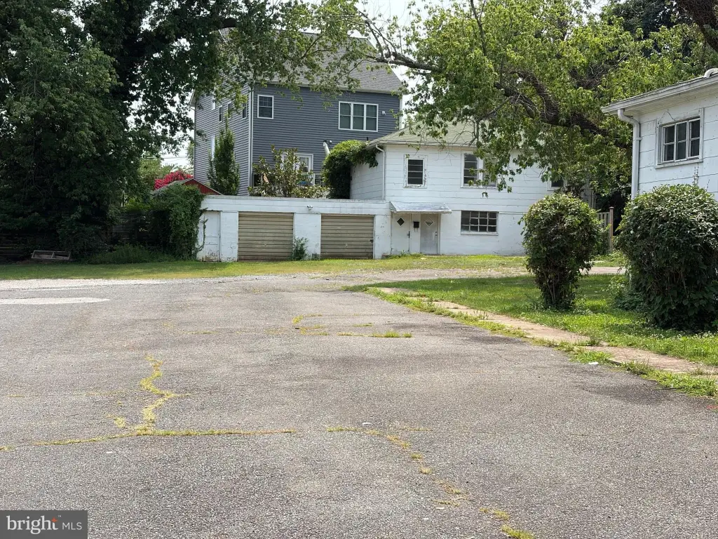 Picture 15