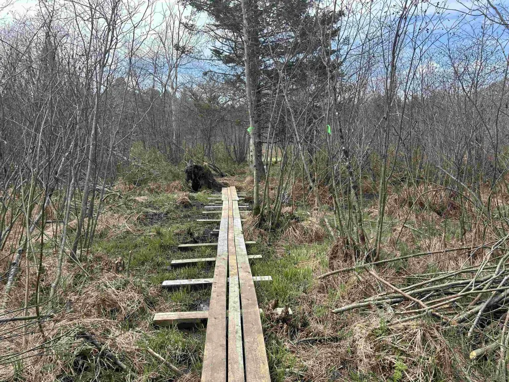 Picture 18