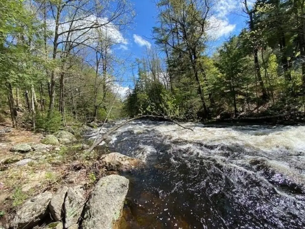 Picture 11