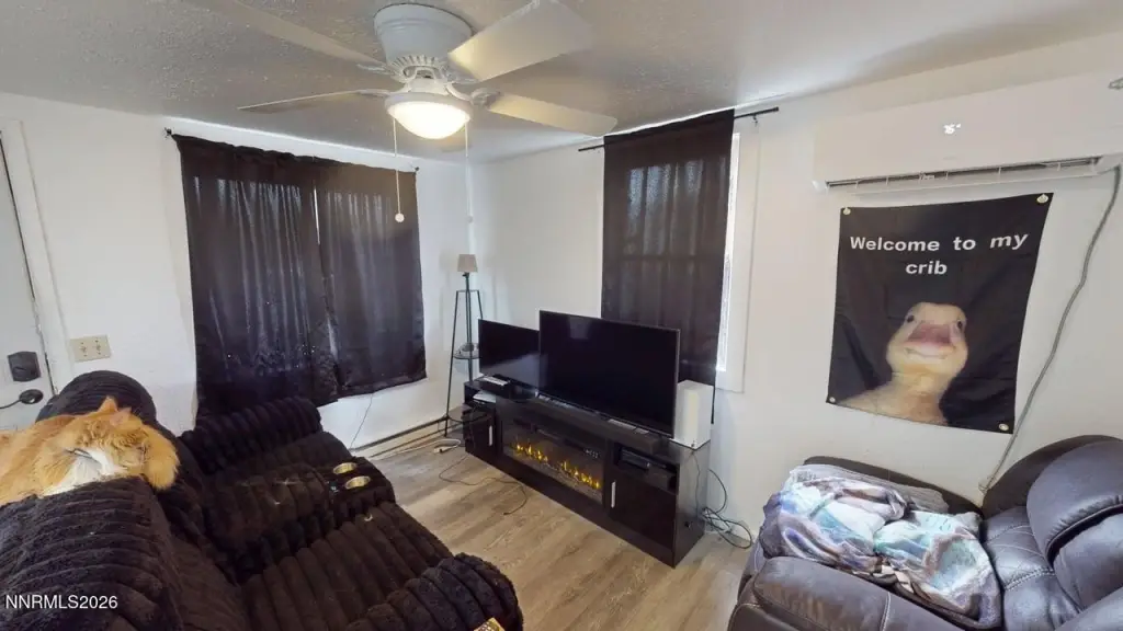 Picture 21
