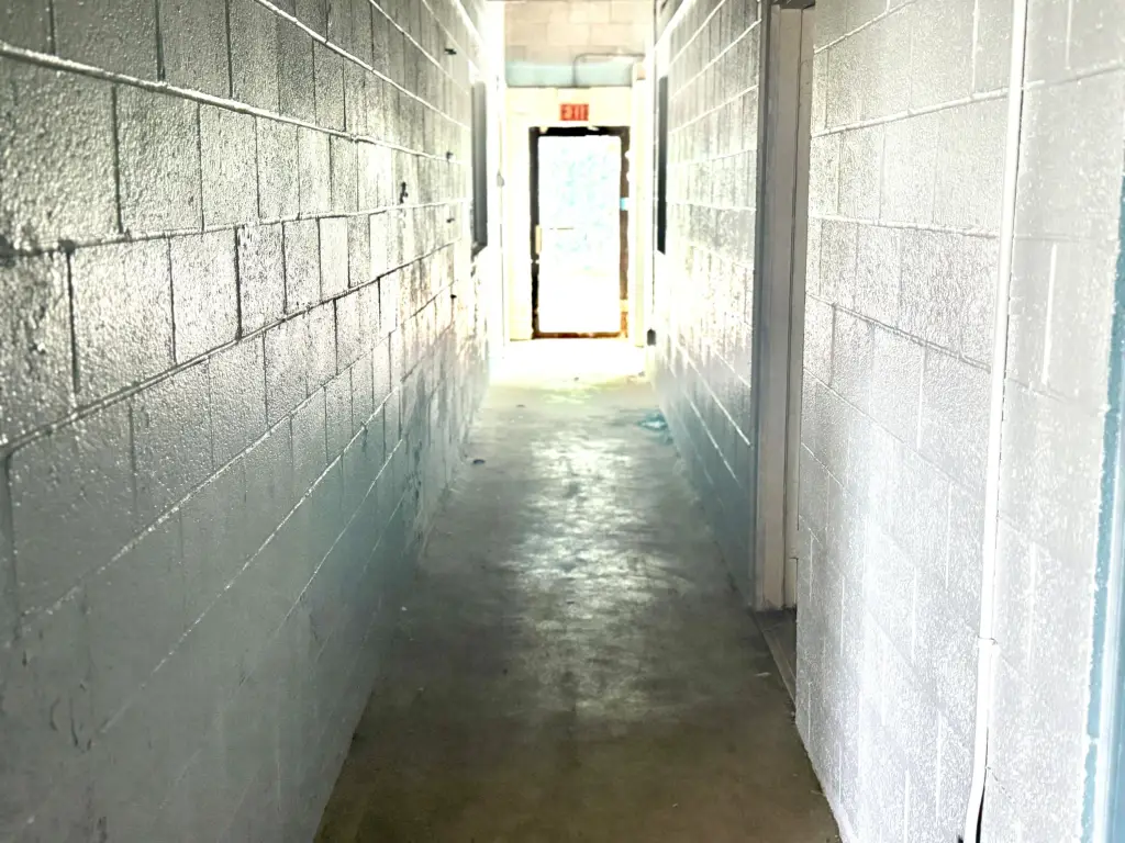 Picture 17