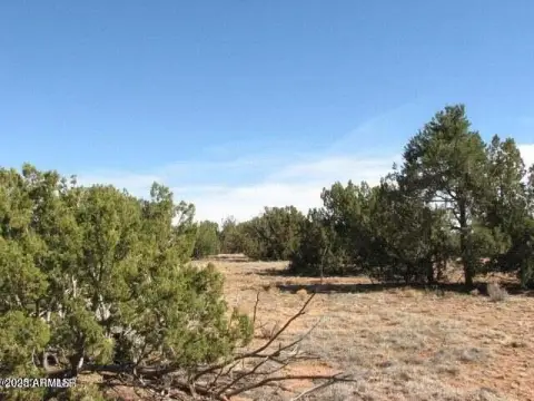 Heber, AZ Land For Sale