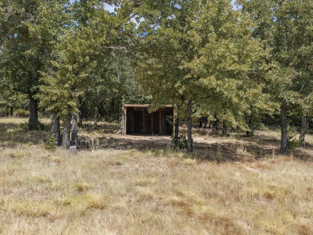Picture 34