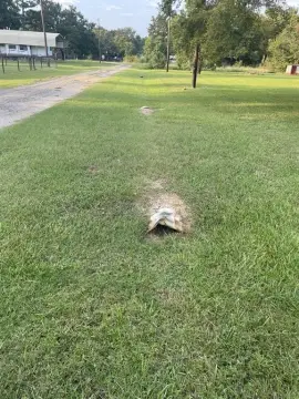 Streetman, TX RV Lake Lots