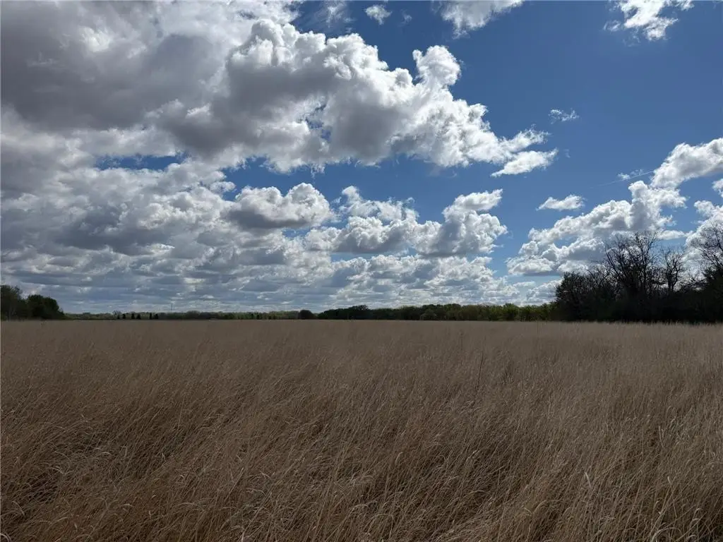 Picture 18
