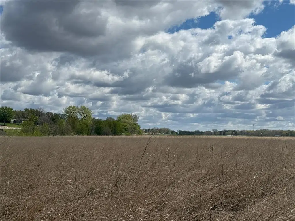 Picture 15