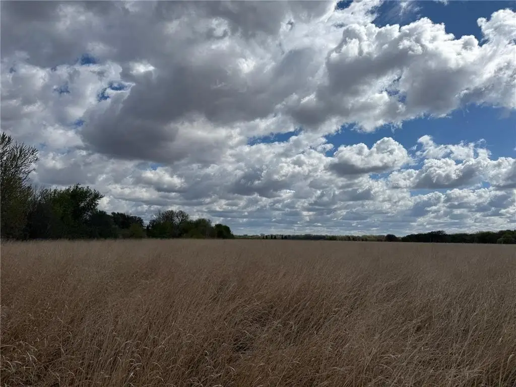 Picture 19