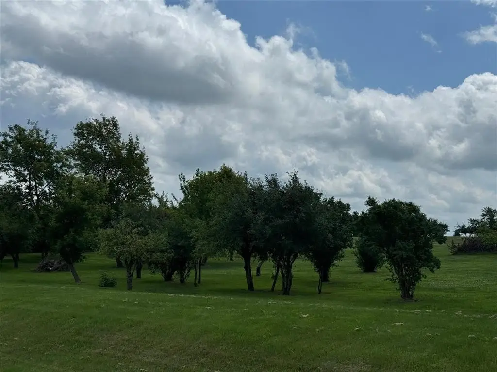 Picture 4