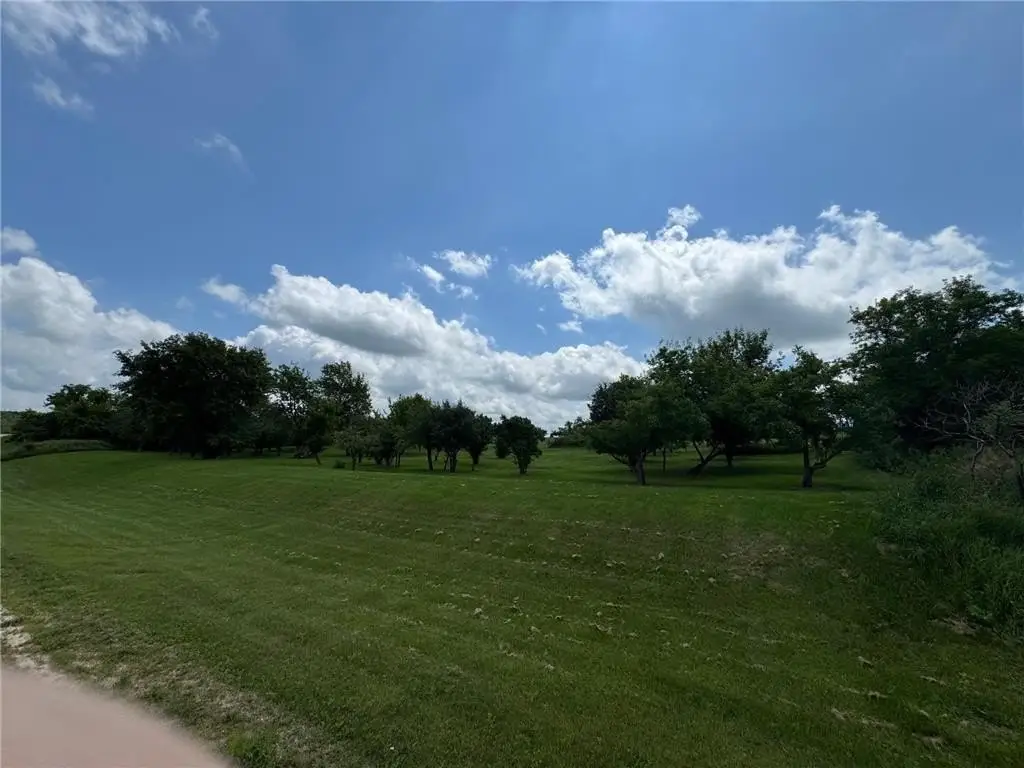 Picture 3