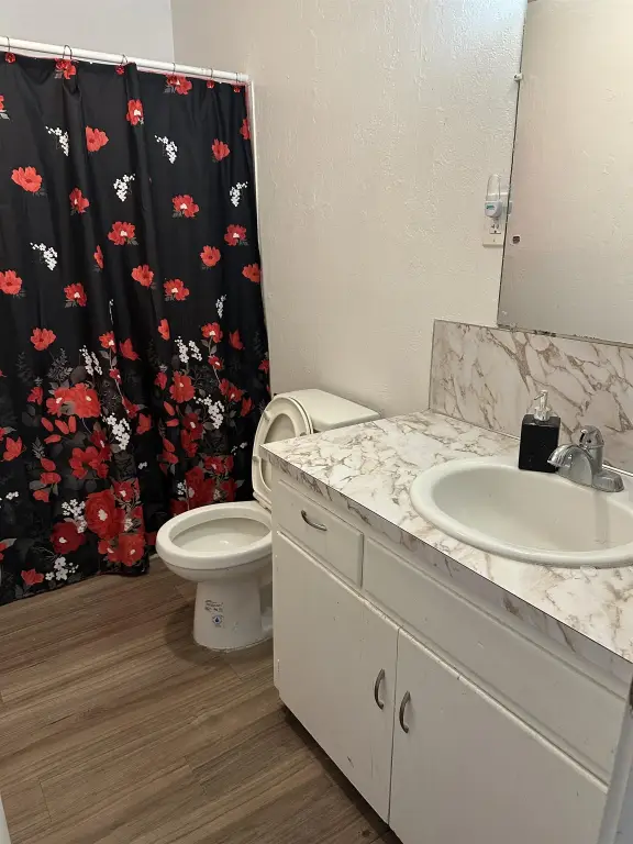Picture 18