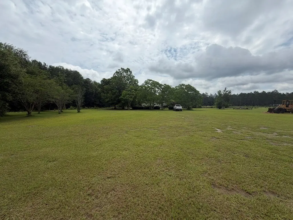 Picture 11