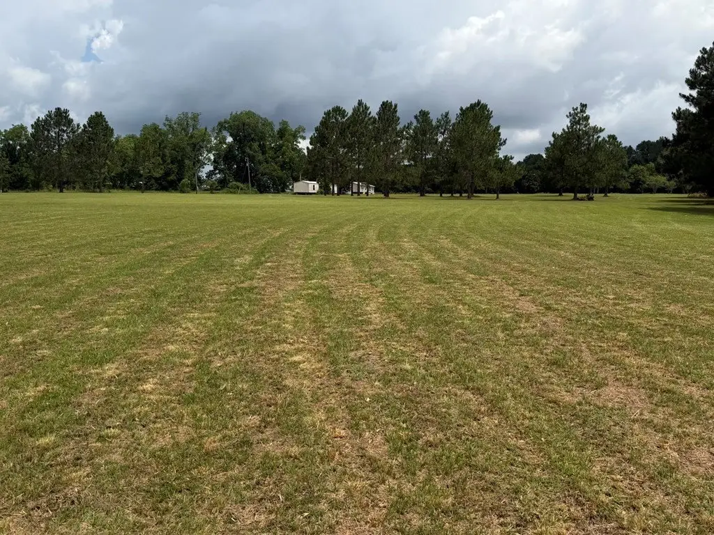 Picture 14