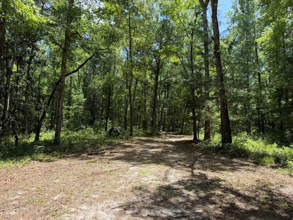 Picture 22