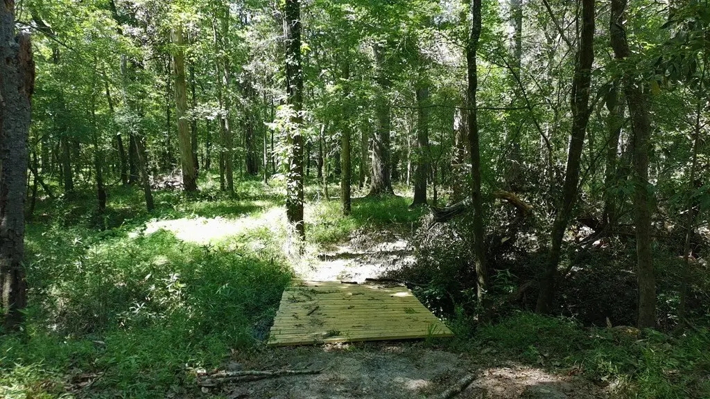 Picture 48