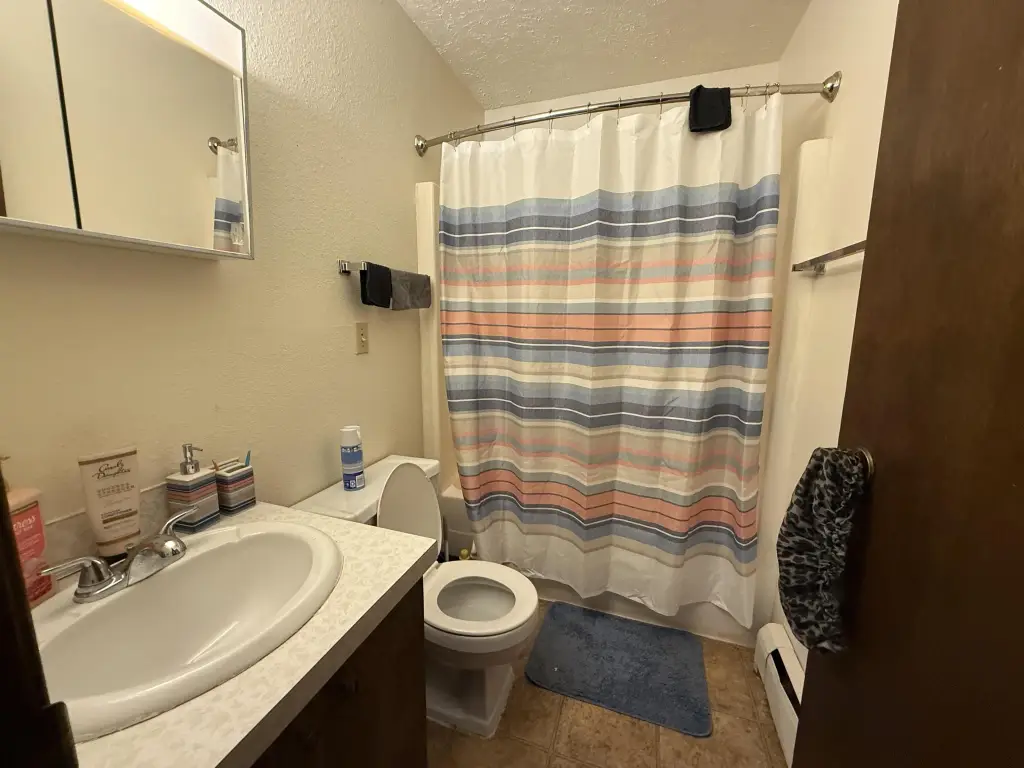 Picture 12
