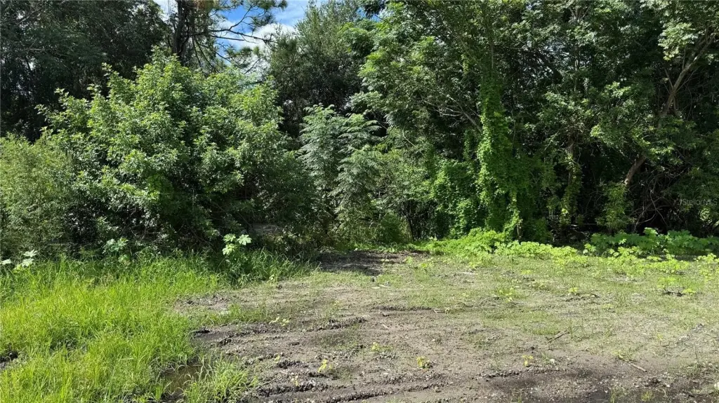Picture 25
