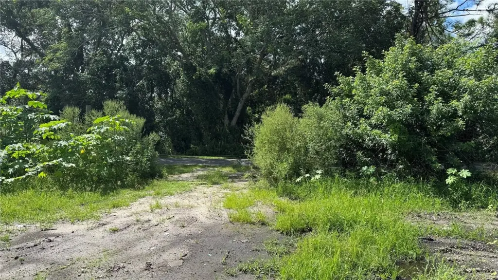 Picture 27
