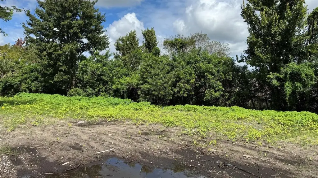 Picture 21