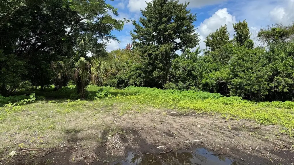 Picture 22