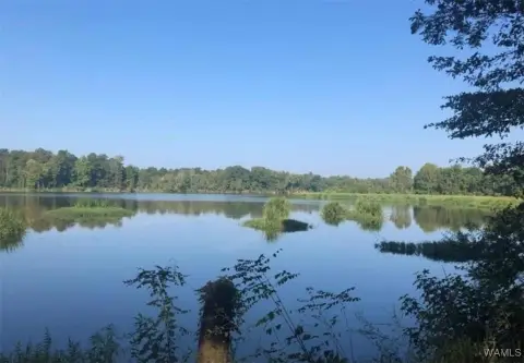 Waterfront Land on Black Warrior