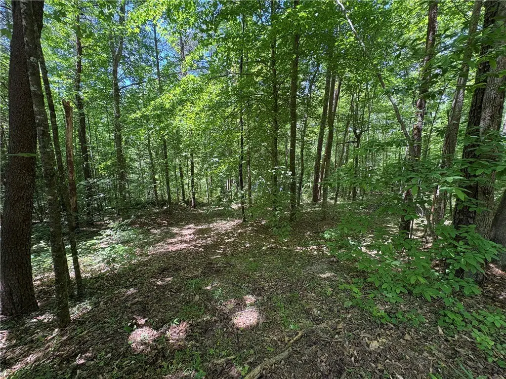 Picture 12