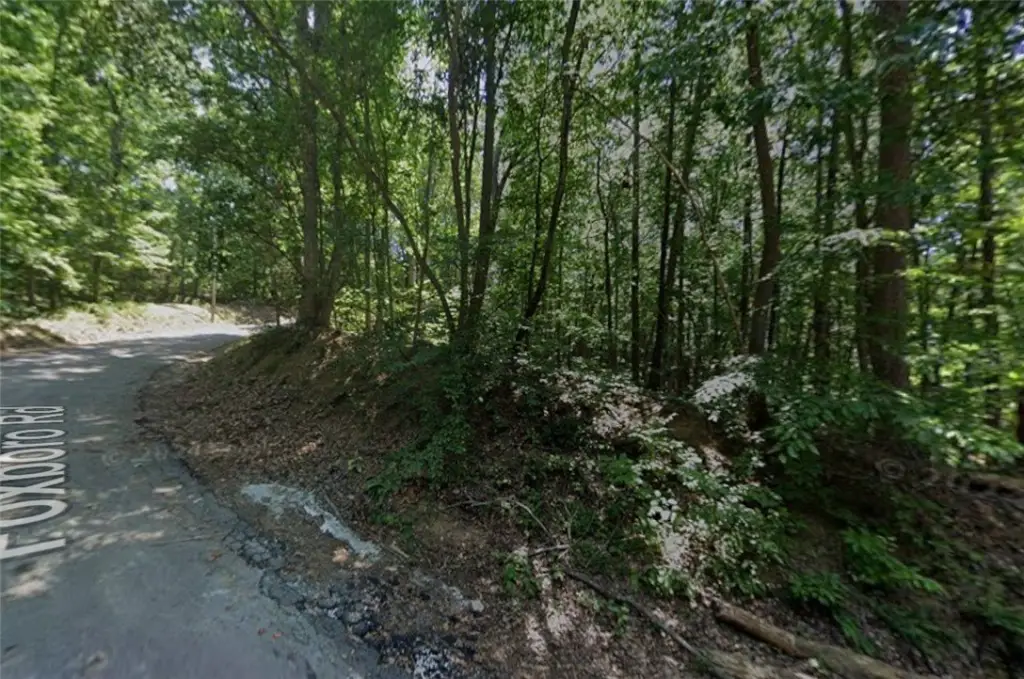 Picture 21
