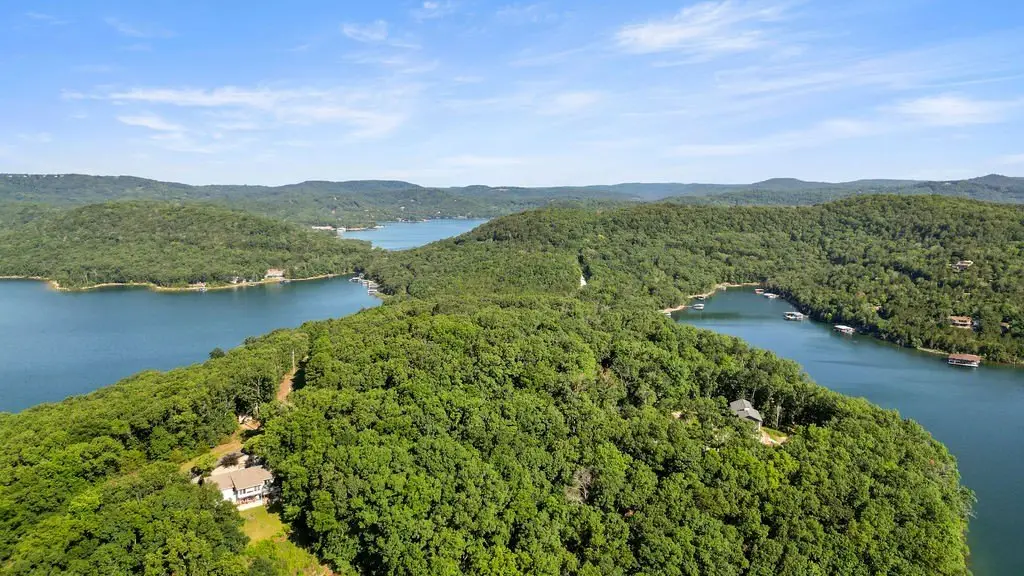 Picture 9