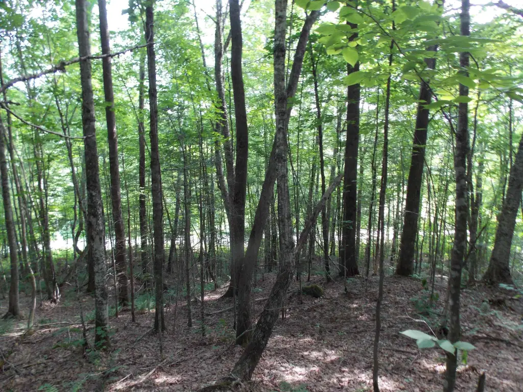 Picture 19