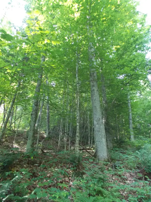 Picture 16