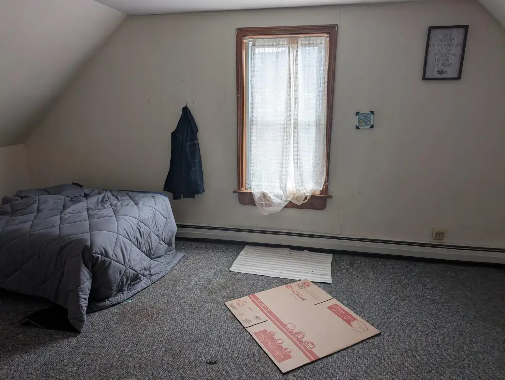 Picture 15