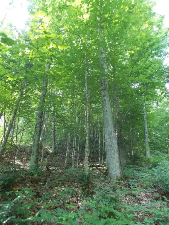 Picture 20