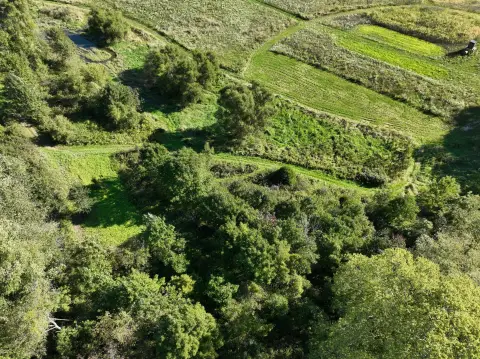 Hunting Land with Wildlife Pond