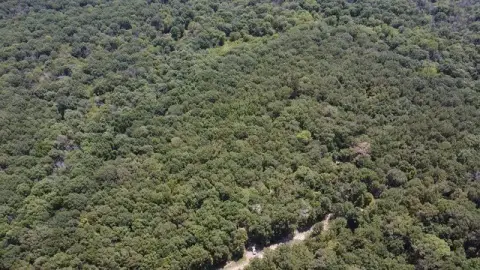 Wooded Recreation Land