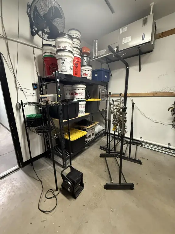 Picture 15